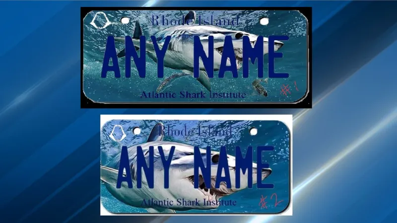 Atlantic Shark Institute shares design options for new charity license plate