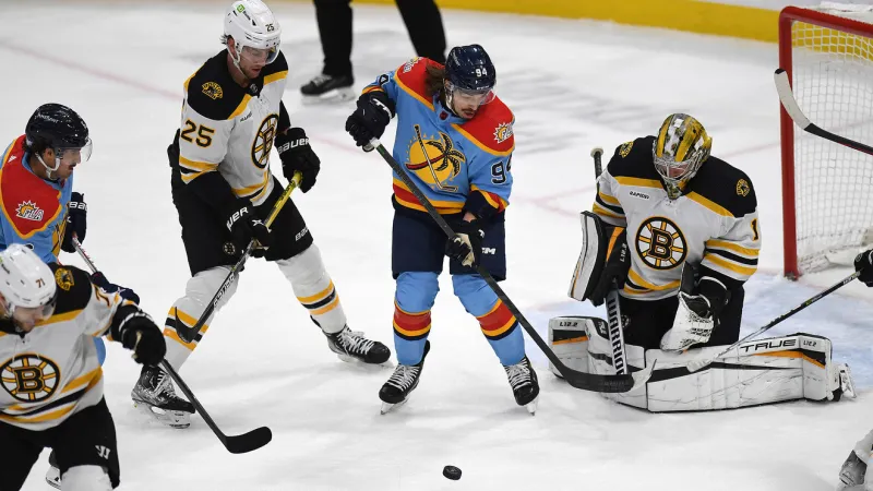 Panthers score 3 in 2nd period, halt Bruins win streak at 7
