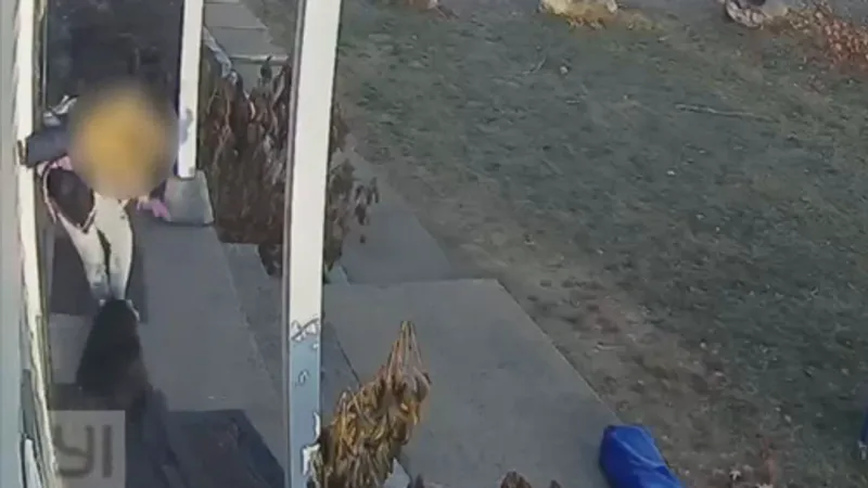 Racoon bite sends Connecticut girl to hospital