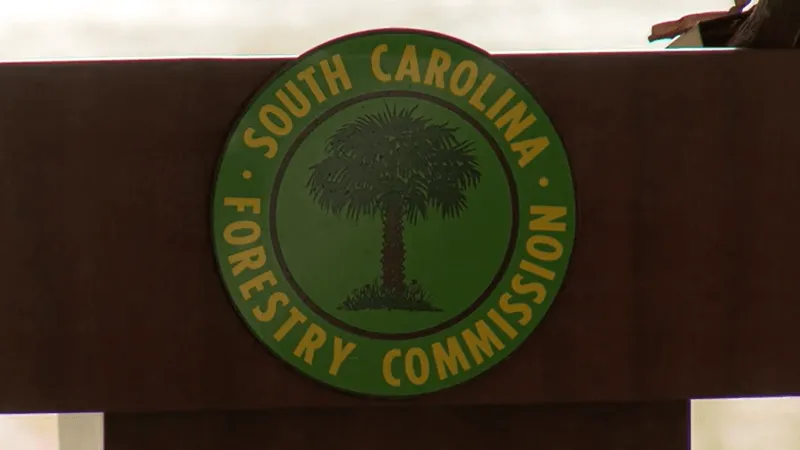 20-acre woods fire in Hartsville now 100% contained: SCFC