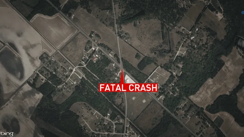 Driver dies in tractor-trailer collision