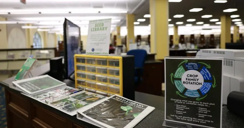 Seed library at Florence's Bruce and Lee Library continues to grow