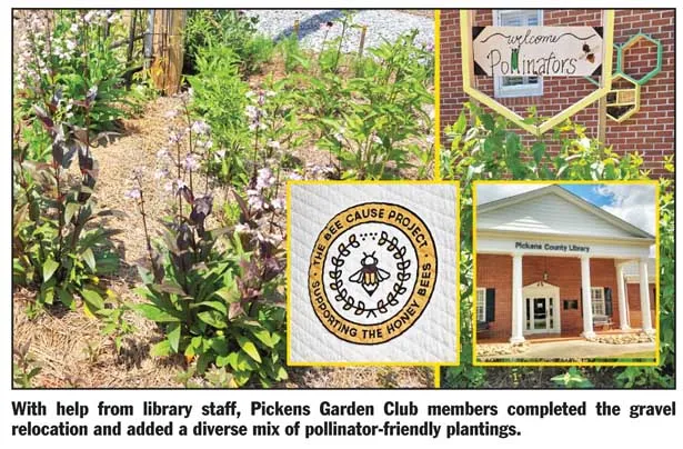 Village Library takes eco-learning outside in new pollinator garden