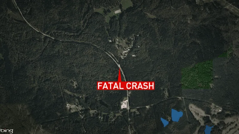 Coroner identifies victim in deer, tree collision
