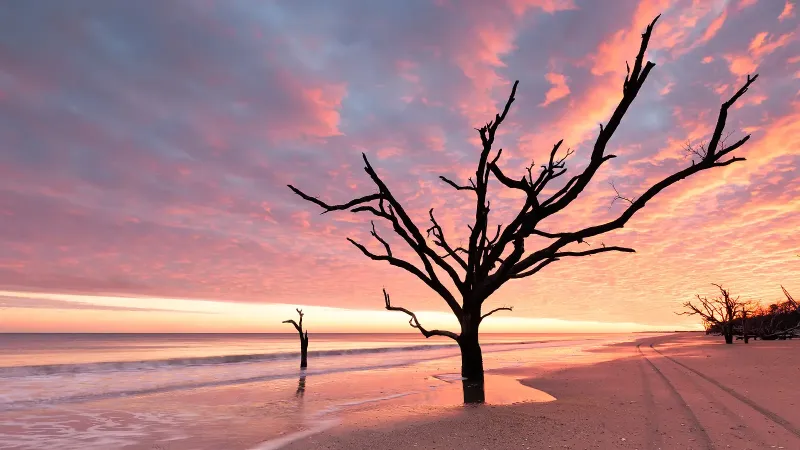 Edisto Island: A Tranquil Escape from the Hustle and Bustle