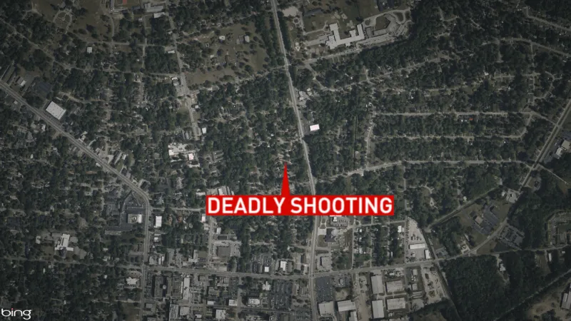 One dead, two injured in domestic dispute shooting