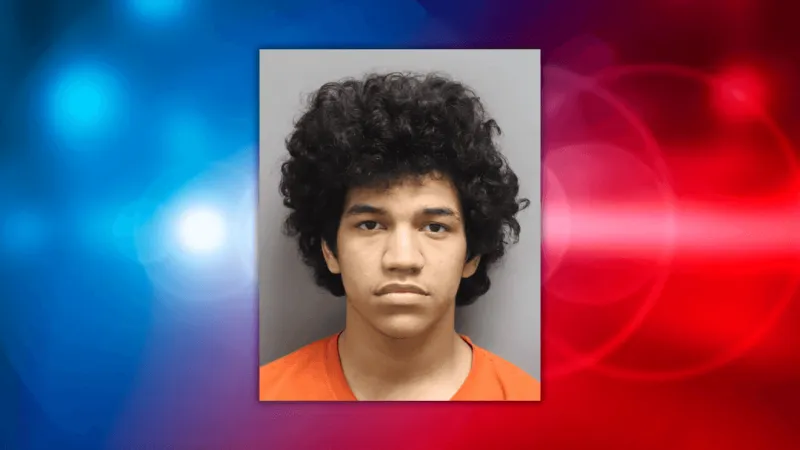 Lexington runaway juvenile investigation leads to Summerville man's arrest on sex charges