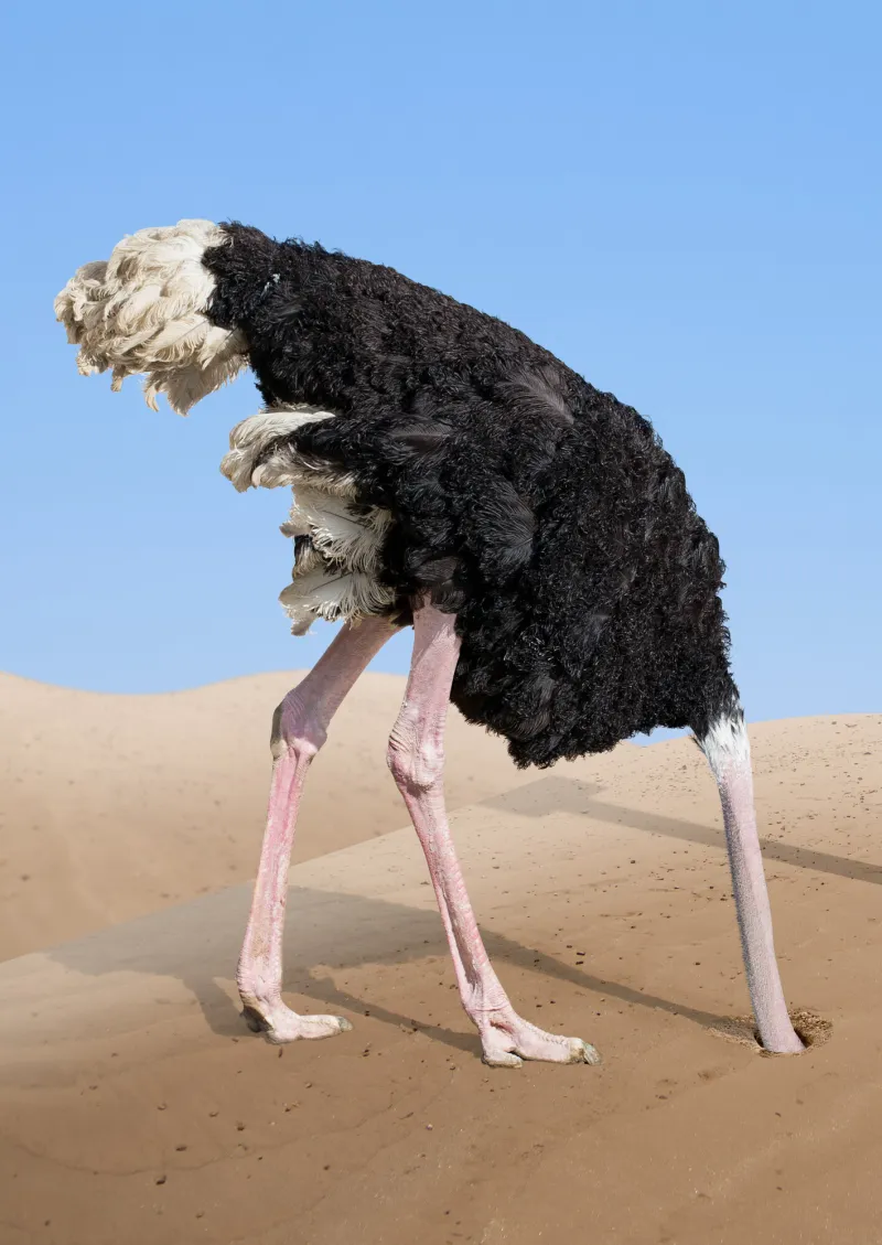 Life in the Palmetto State: The sand may just be our problem