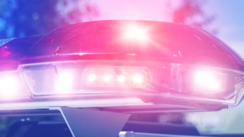 1 dead after Dillon Co. ATV crash