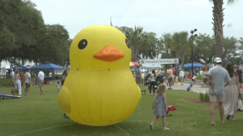 Charleston Duck Race sends 14,000 rubber ducks racing on Daniel Island for $10,000 prize