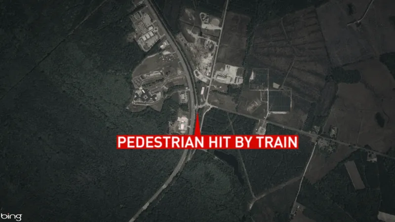 Pedestrian dies after being hit by train