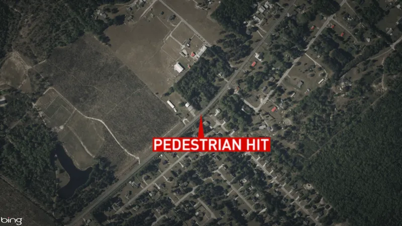 Pedestrian dies after being hit by car