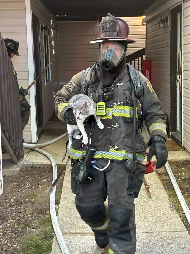 8 people in apartment building left displaced after fire