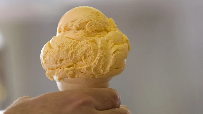 South Carolina gets the scoop: peach ice cream tops the Palmetto State's favorites