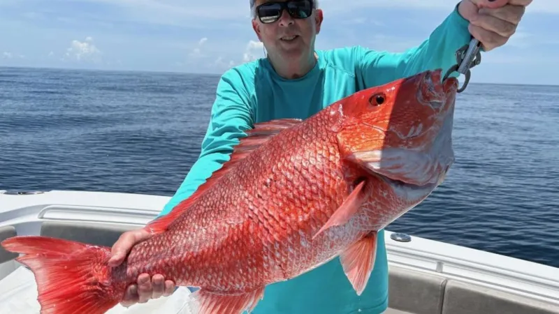 South Carolina holds meeting as red snapper season faces court delay