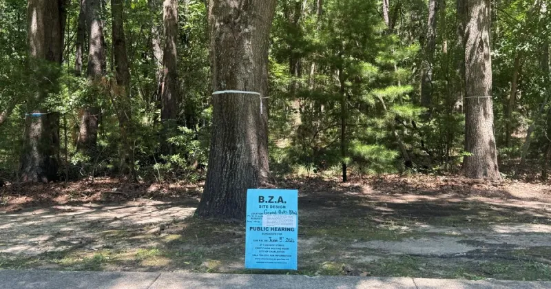 Charleston board approves developer's request to cut down 22 trees for apartments in West Ashley