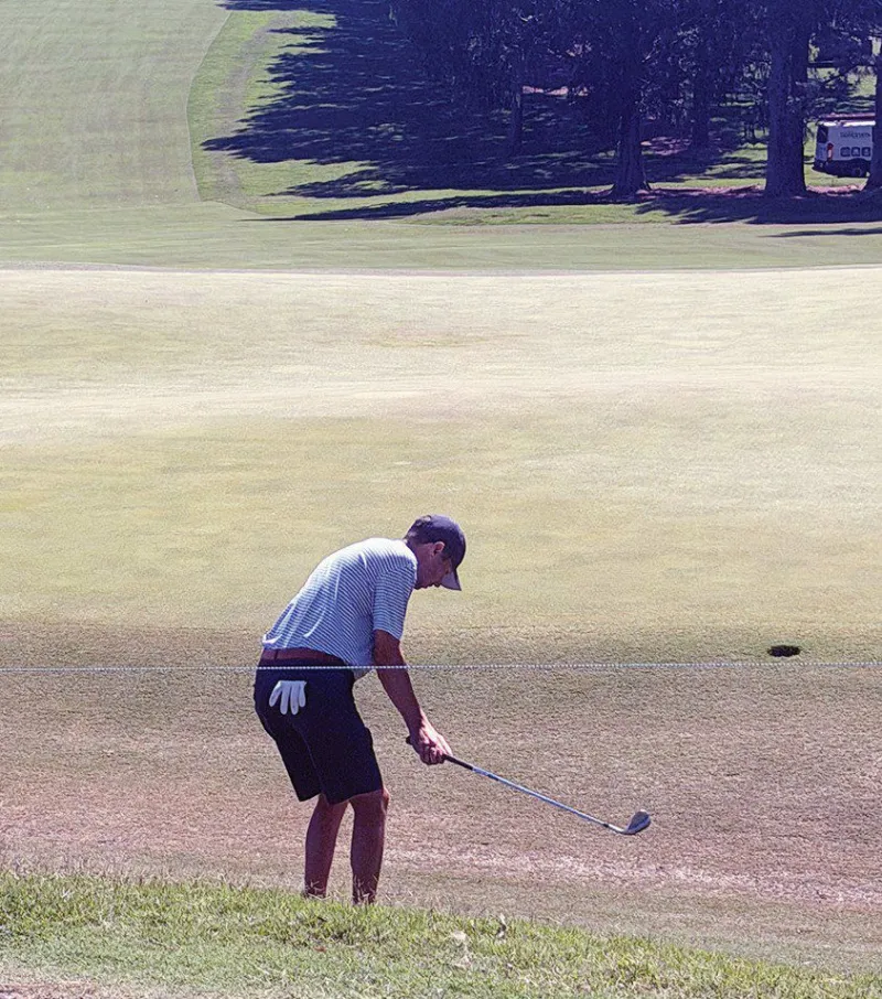 CHIPPING WITH THE STARS