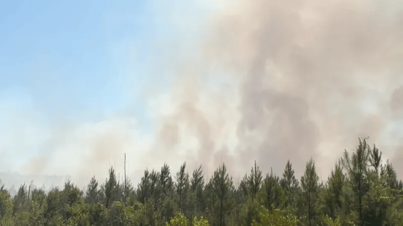 46-acre woods fire in Conway contained