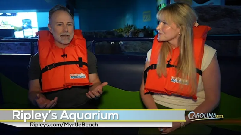 Discover What Lies Below on Ripley's Glass Bottom Boat Adventure