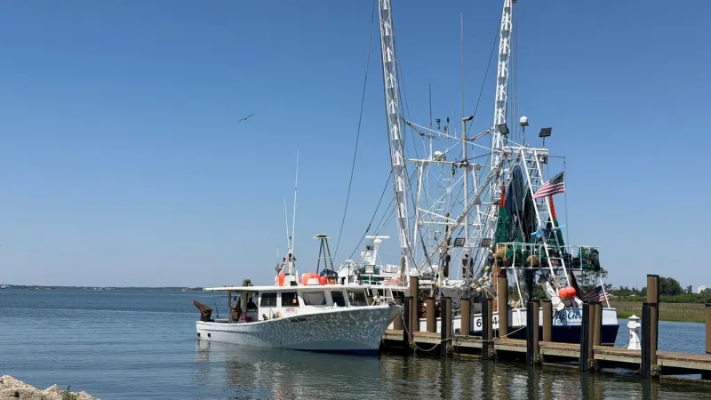 South Carolina shrimp season opens amid rising costs and industry challenges
