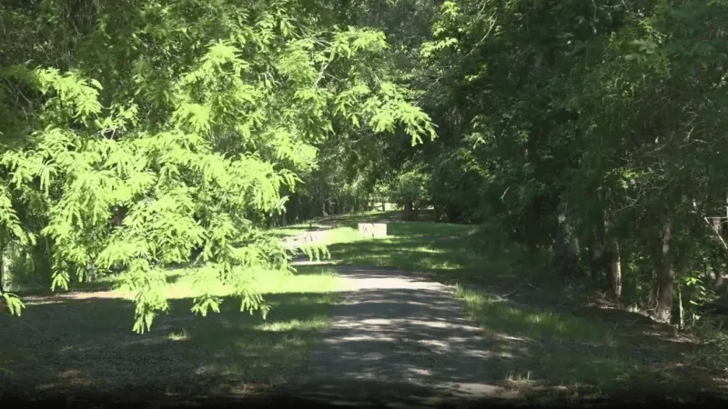 Conway considers using goats to maintain FEMA buyout lots in Sherwood after floods