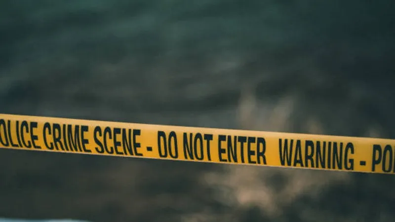 Skeletal remains found on Postal Way in Horry Co.