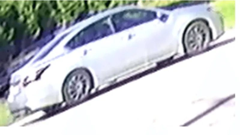 2 injured in separate Dillon, Marion hit-and-runs; SCHP seeks tips