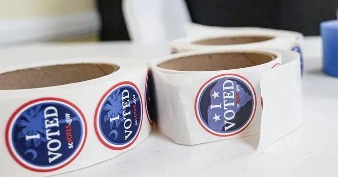 Darlington County Council, House races on ballot