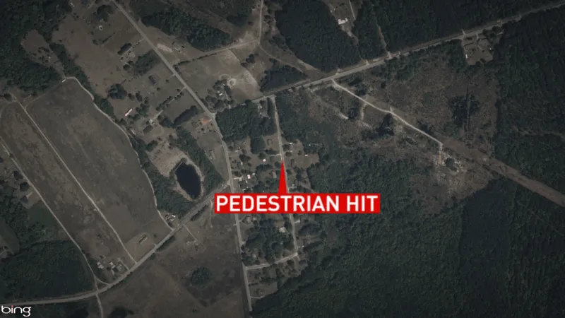 Pedestrian dies after being hit by car