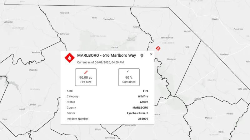 90 acre woods fire 90% contained in Marlboro County, SCFC says