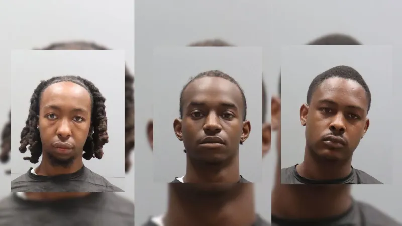 3 people arrested after execution of arrest warrant