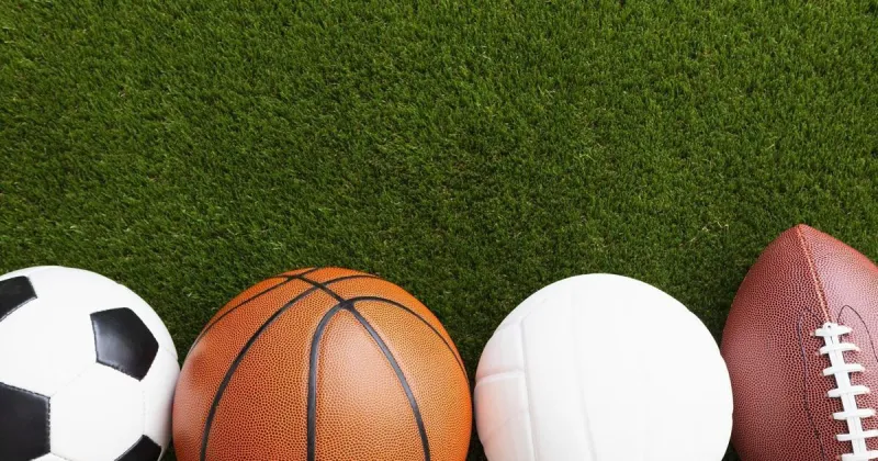 REGION SPORTS: SC State announces Athletic Hall of Fame Class