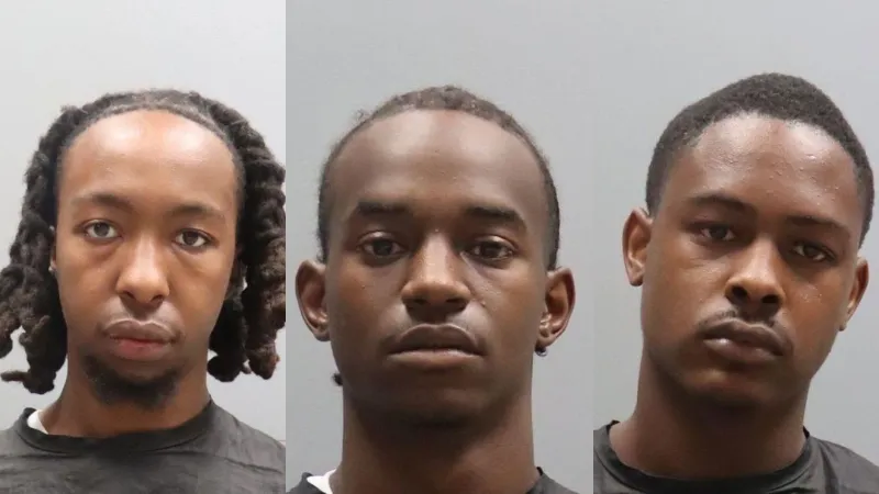 3 arrested after deputies find drugs, stolen gun