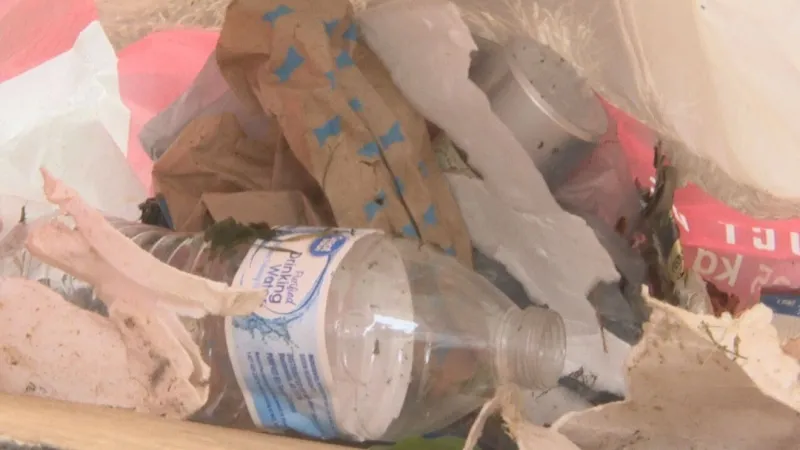 Volunteers invited to join Charleston litter cleanup event Saturday