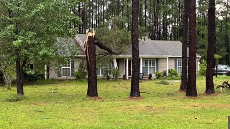 Storm topples tree onto power lines, damages homes in Longs; 1 displaced