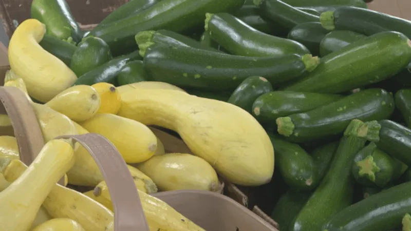 "Keep agriculture at the forefront": How South Carolina is tackling farming challenges