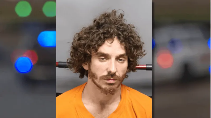 K-9 Yoda tracks down wanted man hiding in a bush after chase, deputies say