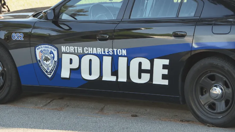 1 person in custody after domestic disturbance on Refuge Pointe Circle: NCPD
