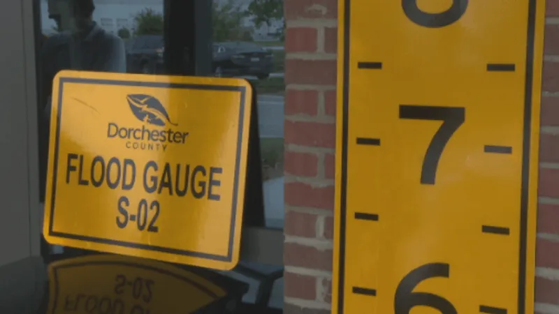 Dorchester County installing flood markers to help track rising water during storms