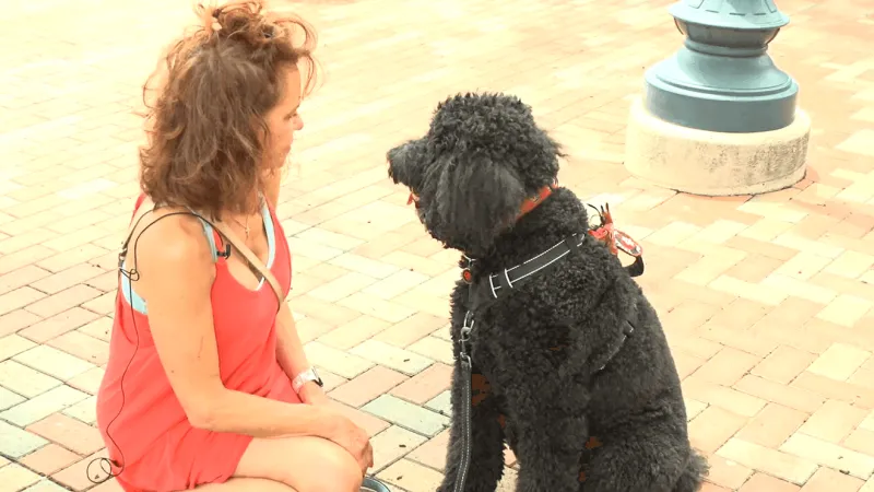 Mental Health Awareness Month: Therapy dog helps break the ice to important conversations