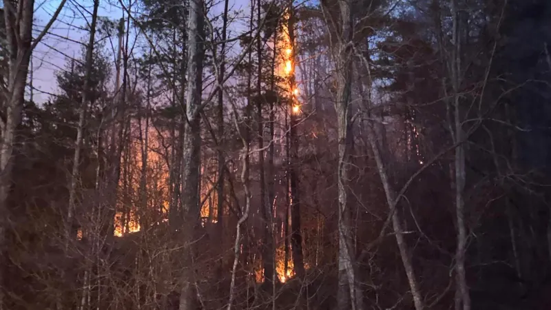 NC Forest Service urges no burning as elevated fire danger raises wildfire risk