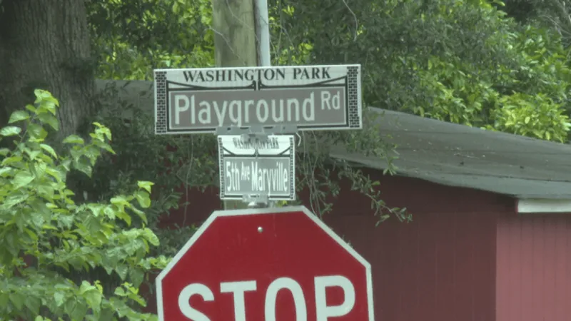 Charleston planners weigh preservation of historic Washington Park community