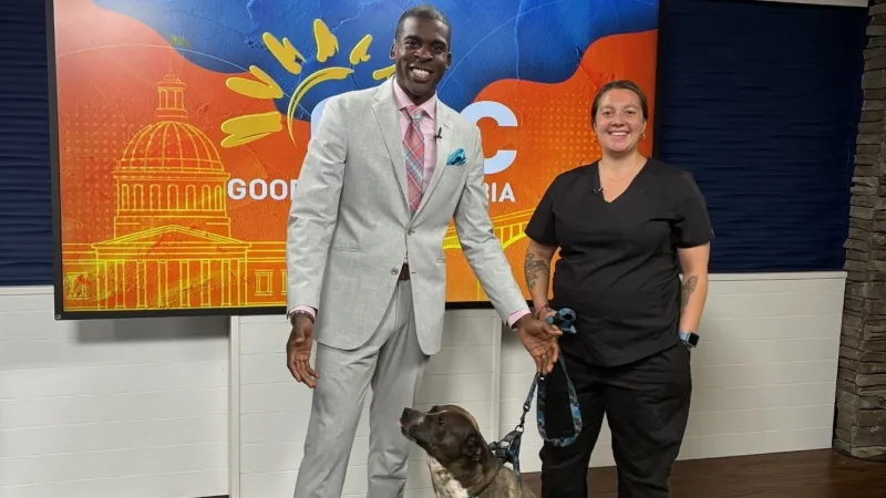 Last call for the PETCO Love Pick SC adoption event