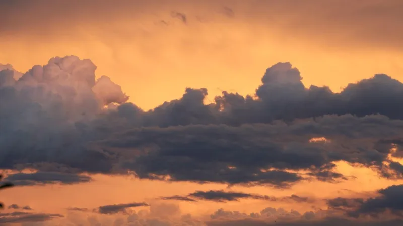 Widespread rain clears this morning, isolated storms return late today