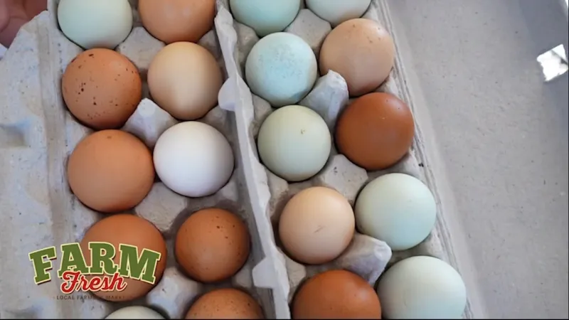 Get to Know KSSEA Farms -- A Local Farmers Market Vendor