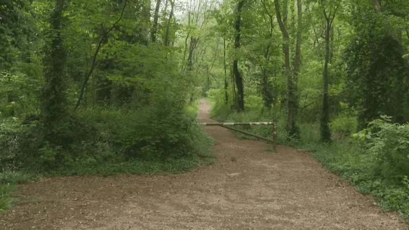 Buck Hall campground temporarily closes to make way for new renovations