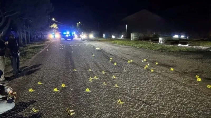 'A warzone:' Dozens of shots fired at Marlboro County homes
