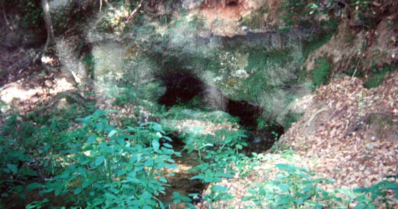 FACES & PLACES: Tracing the history of Cave Hall along the Santee River