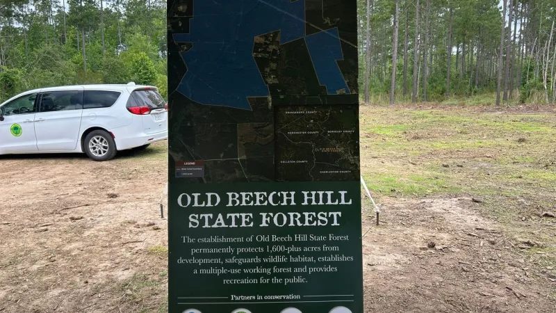 Dorchester County dedicates first-ever state forest, preserving more than 1,000 acres