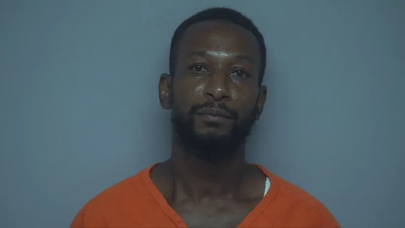 Ridgeland man sentenced to 8 years for 2019 fatal hit-and-run death